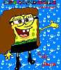 SpongeDaria Squarepants